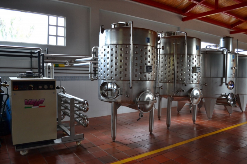 cave-GASSIN-min_wine_production_cantine_winery_drink_alcohol_vine_beverage-902036